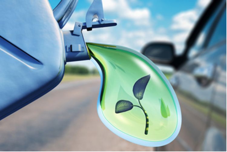 Brasil tem meta de triplicar produção de biocombustíveis até 2030, diz fonte