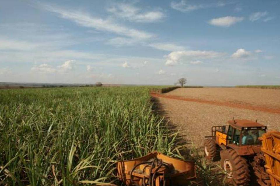 Brasil pode retirar até junho limites para estrangeiro comprar terras
