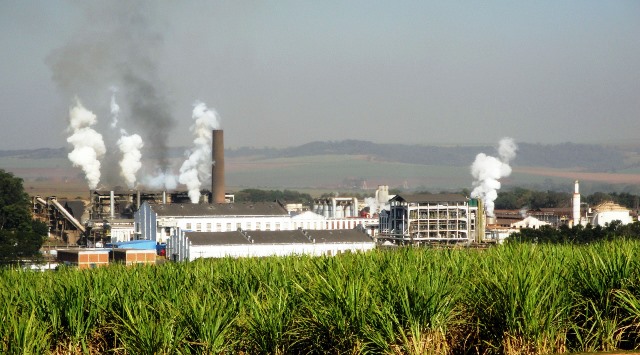 Produção de açúcar do centro-sul do Brasil cresce 30% no acumulado da safra, diz Unica